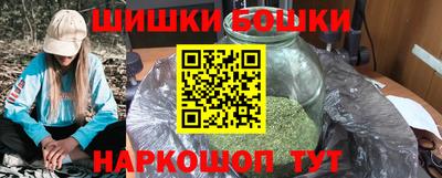 индика Новозыбков