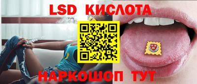 индика Новозыбков