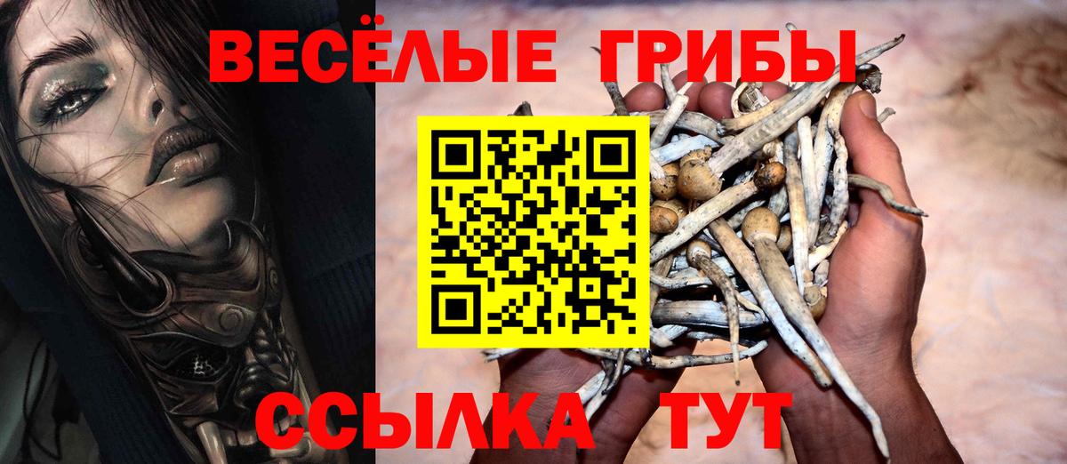 Галлюциногенные грибы MAGIC MUSHROOMS Владивосток