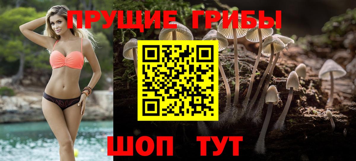 Владивосток  Псилоцибиновые грибы прущие грибы  Вход с VPN 